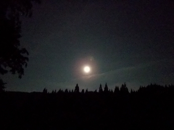 I月が発光